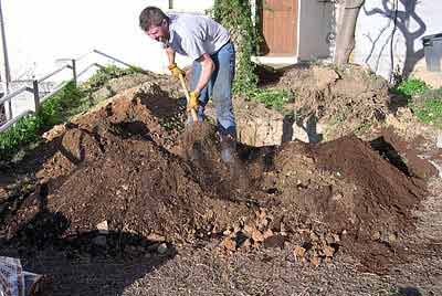 Planter un arbre : interdiction absolue, en toute circonstance (même en cas de perte financière), pendant toute l’année...