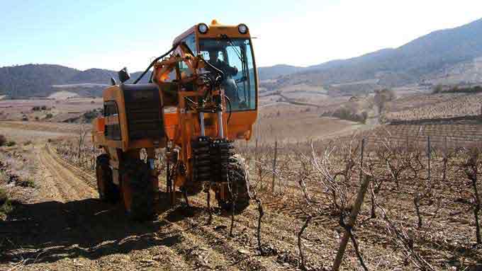 Tailler la vigne, interdit par la Tora : interdiction absolue, en toute circonstance (même en cas de perte financière),...