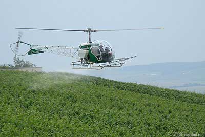 Epandage d’insecticide par hélicoptère