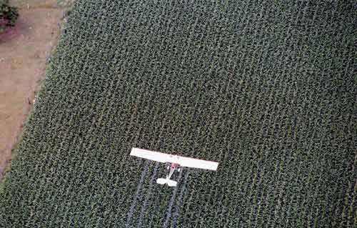 Epandage d’insecticide par avion ; permis si la situation l’exige c’est à dire s’il existe un danger pour les plantation...