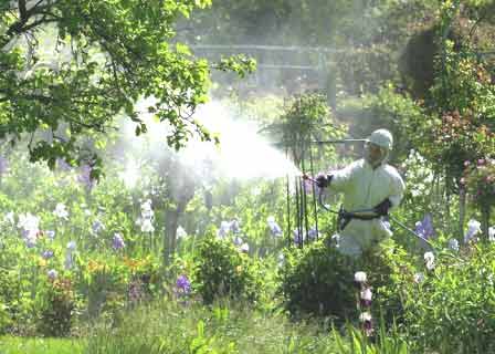 Pulvérisation d’insecticide : Permis si la situation l’exige