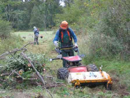 Dans le cas où les mauvaises herbes étouffent les autres végétaux, il sera permit de les couper, voire de les arracher d...