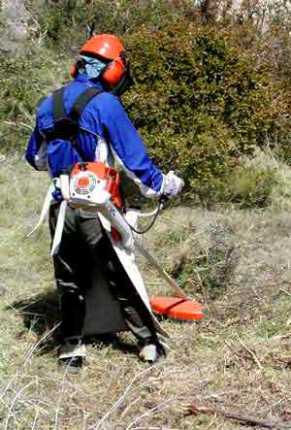 Débroussaillage