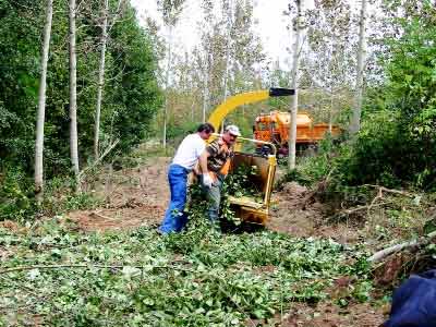Ce type de débroussaillage sera aussi permit si la situation l’exige