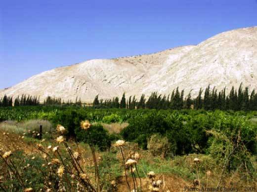 Vallée du Jourdain, à la frontière de la Jordanie