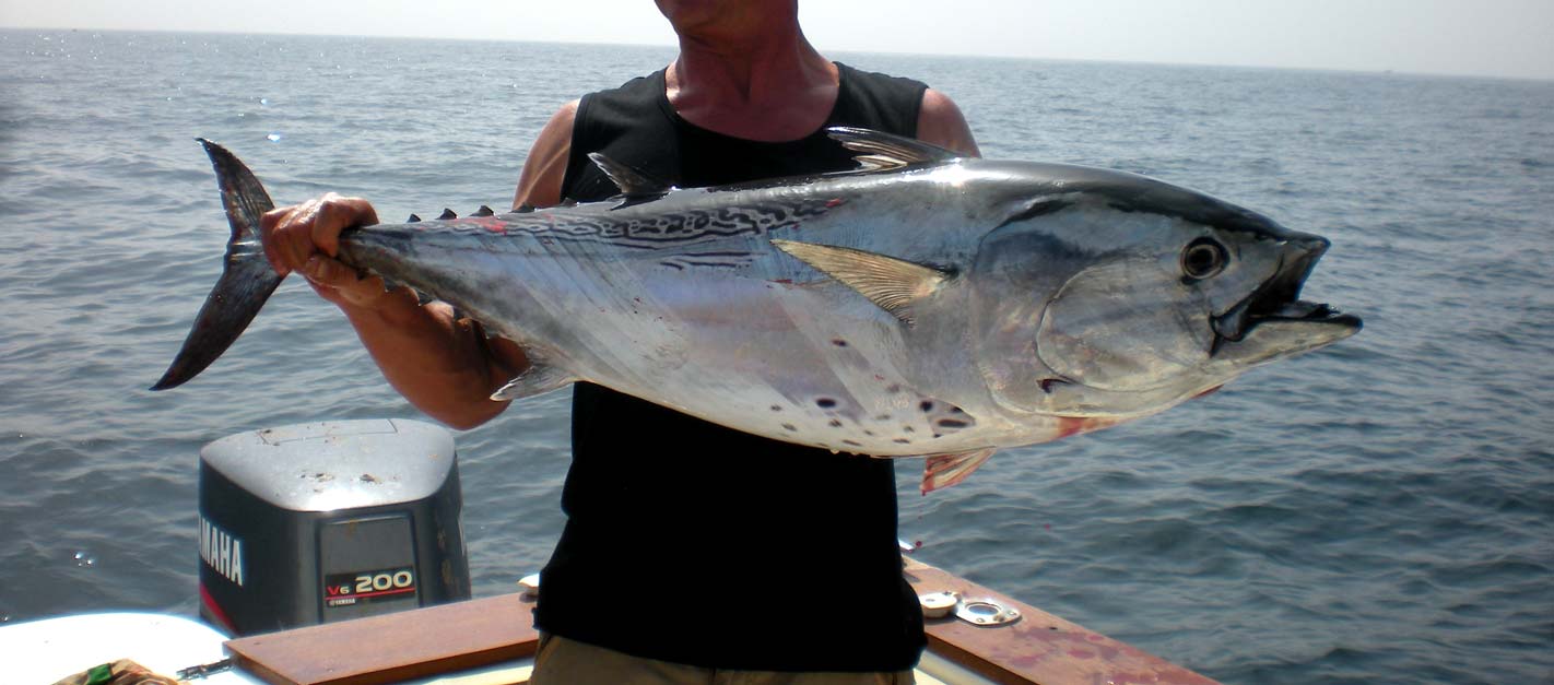 L'Albacore