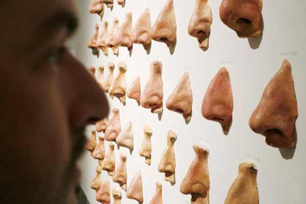 Une œuvre d’art intitulée 49 nez juifs, au Musée Juif de Berlin. Elle est issue d’une exposition qui a pour but de déno...