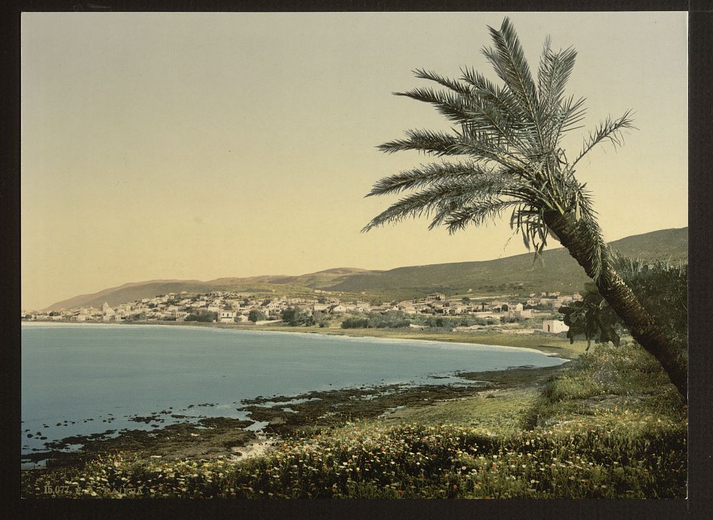 1. Pieds du Mont Carmel à Haifa, au nord du pays.
