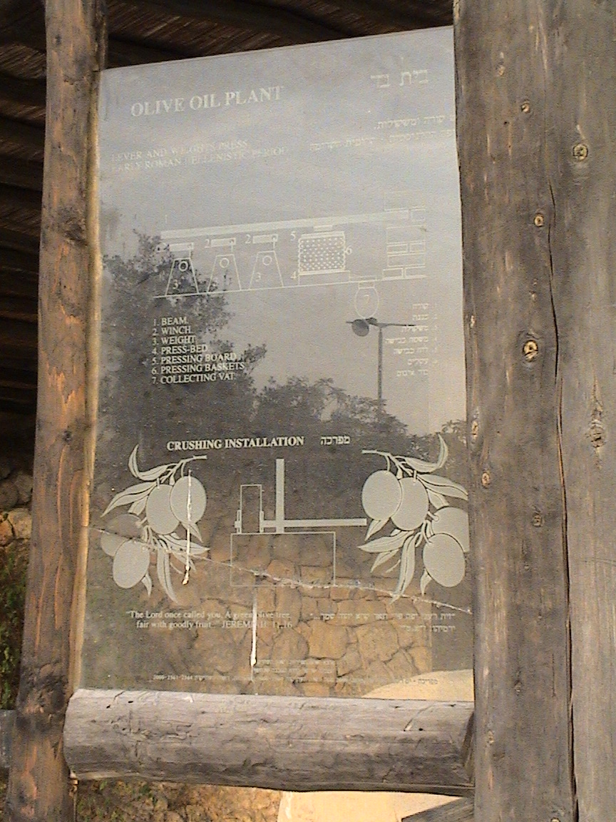 1. Description d'un pressoir à huile.