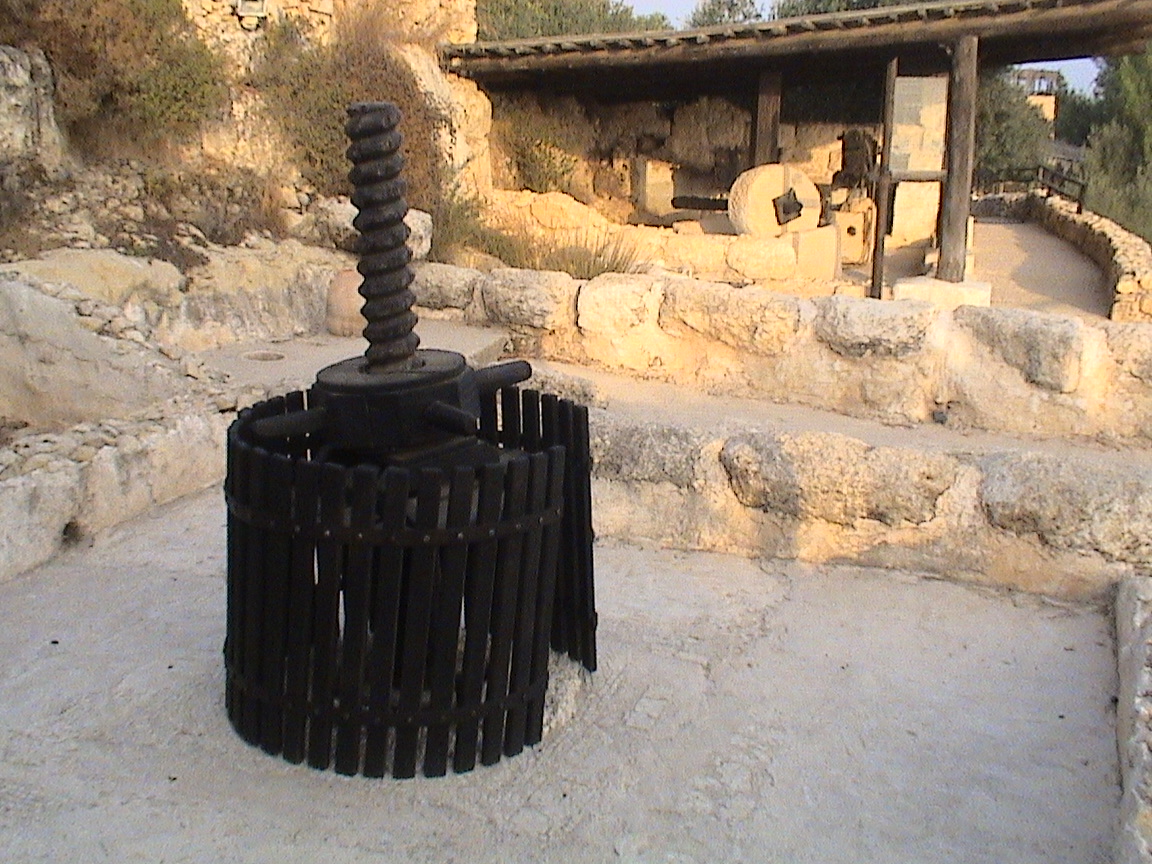 17. Pressoir à vin. Vue générale