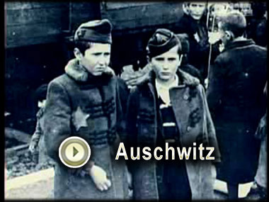 Il y a 65 ans, la libération d’Auschwitz