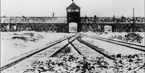 Enseignement en ligne sur l'Holocauste