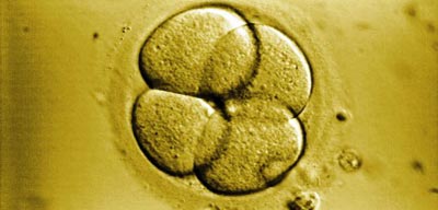 Une bombe à fragmentation pour traiter le cancer développée en Israël