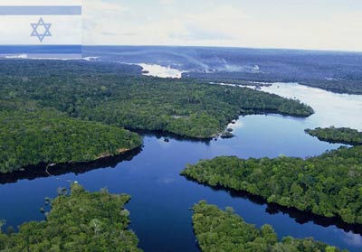 De la jungle amazonienne à Jérusalem