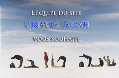 Chana Tova