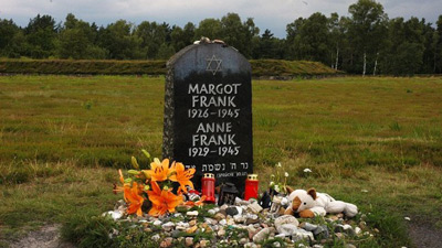 Une pousse du marronnier d'Anne Frank plantée près du Capitole