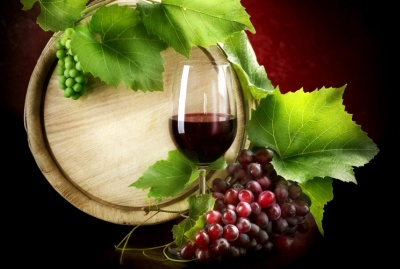 Comment recréer le vin des  temps bibliques