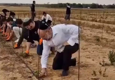 Des volontaires des États-Unis ont planté un vignoble à Kerem Shalom (vidéo)