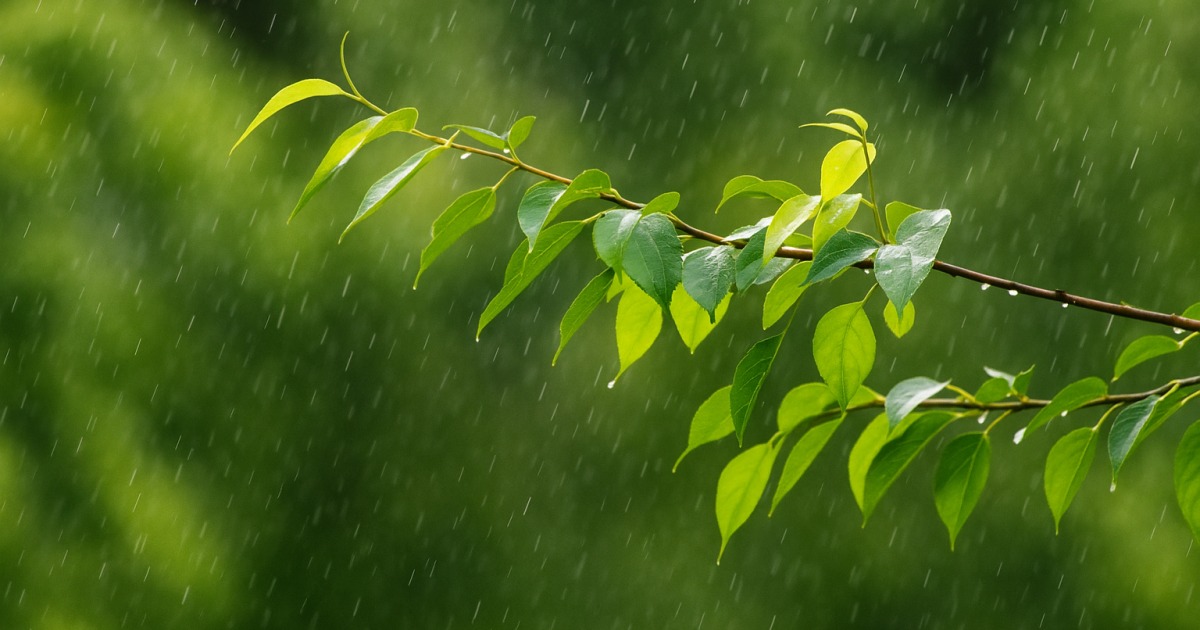 Prière pour la pluie