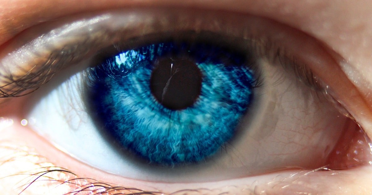 L'oeil du Rabbi