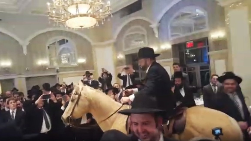 Un cheval dans un mariage