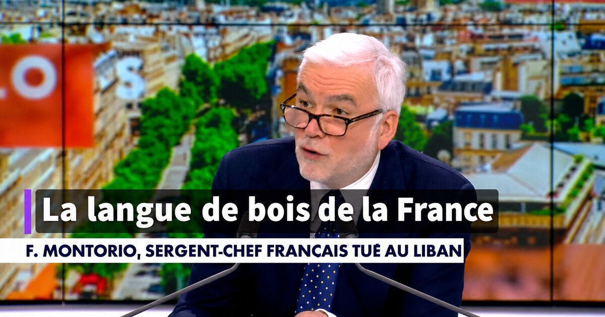 La langue de bois de la France à propos du Hezbollah