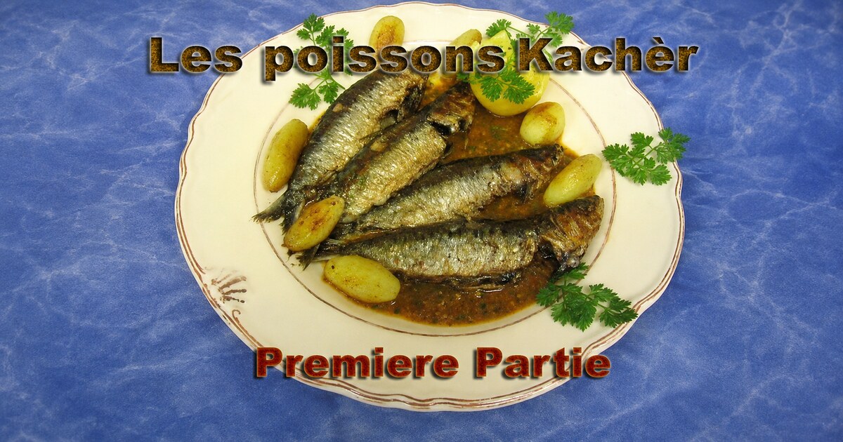 Les Poissons Kachèr : Partie I