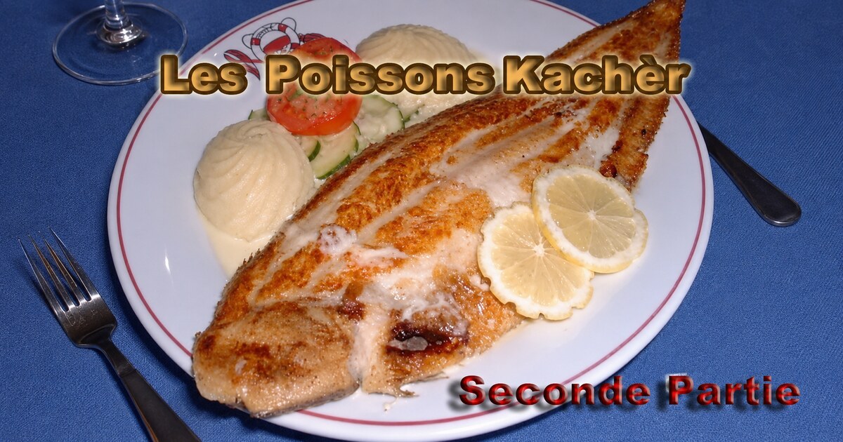 Les Poissons Kachèr : Partie II